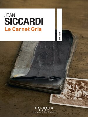 cover image of Le Carnet gris